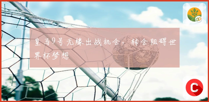 皇马9号无缘出战机会，转会阻碍世界杯梦想