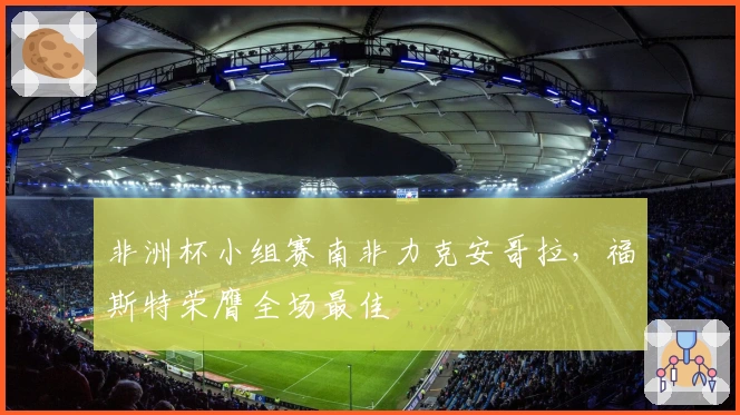 非洲杯小组赛南非力克安哥拉，福斯特荣膺全场最佳